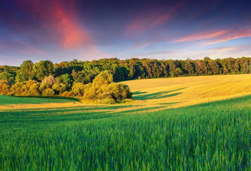 利用物联网技术提升环境监测
