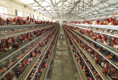 QQ图片20220119101921