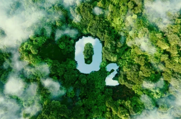 基于电化学和氧化锆传感技术的氧监测对气体质量与系统效率的提升